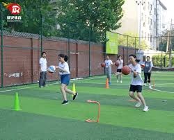 [法甲]第13轮：欧塞尔VS里昂